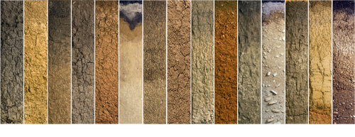 Soils left to right: Illinois, Indiana/Ohio, Iowa, Kansas, Kentucky, Michigan, Minnesota, Missouri, Nebraska, North Dakota, Pennsylvania, South Dakota, Tennessee, Wisconsin.