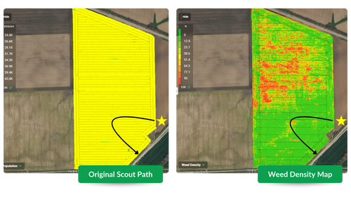 Original scout path compared to the weed density map captured by SymphonyVision. 