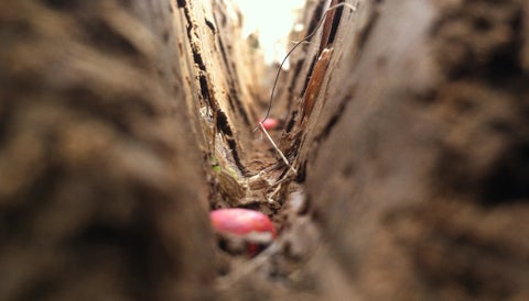 Ensure seed to soil contact with Keeton seed firmers