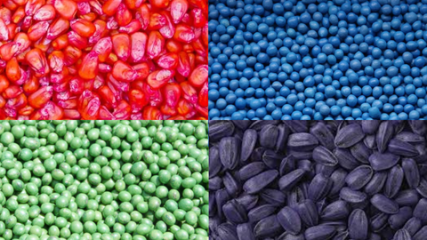 Close-up image of treated corn, sugar beet, soybean and sunflower seeds.