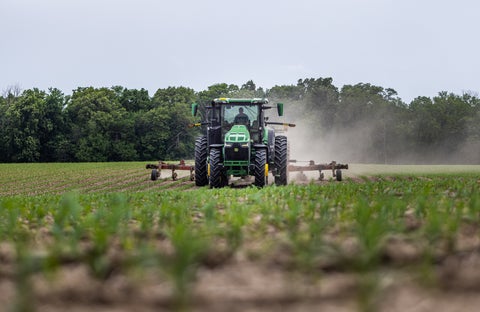 Sidedress bar applying nitrogen in early growth-stage corn. 