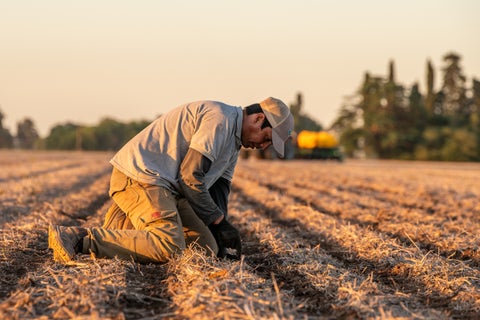 Hombre arrodillado en el campo