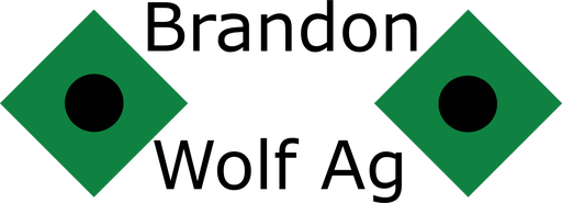 Brandon Wolf logo