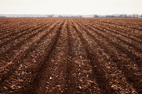 Surcos perfectamente cubiertos plantados con el sistema de cierre FurrowForce de Precision Planting.