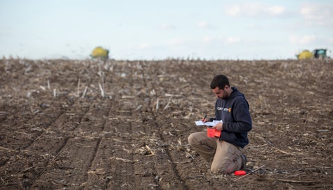 Farmer flagging a field to check for emergence. 
