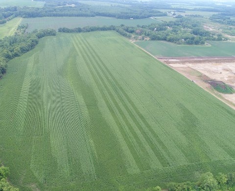 Aerial view of multi-hybrids planted with mSet.
