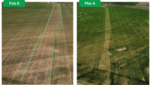 Clarity Texas Example Field Side x Side