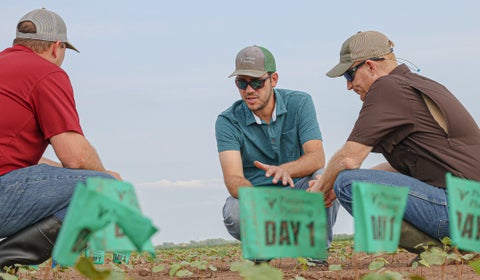 A Precision Planting Premier Dealer and two farmers kneel in a soybean field with emergence flags.