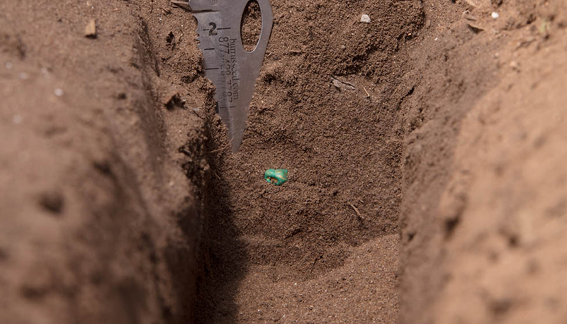 A seed lying in the loose dirt of a furrow.