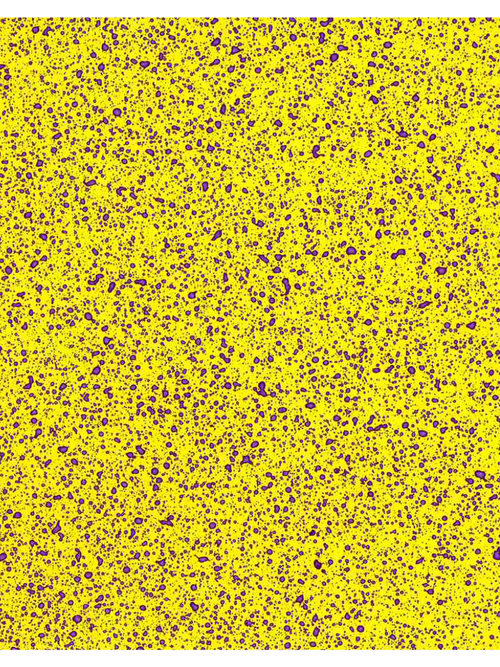Spray card results of a TeeJet XR nozzle spraying at 48 PSI, 13 GPA, and 10 MPH.