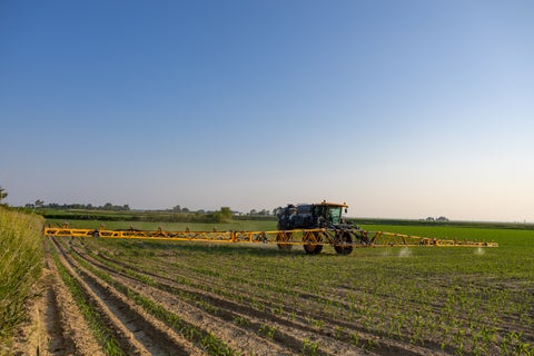 SymphonyVision | Spot on self propelled sprayer in action in emerging cornfield.