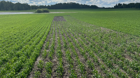 Clarity from Precision Planting can help farmers catch a blockage or flow distribution issue before it becomes an issue. 