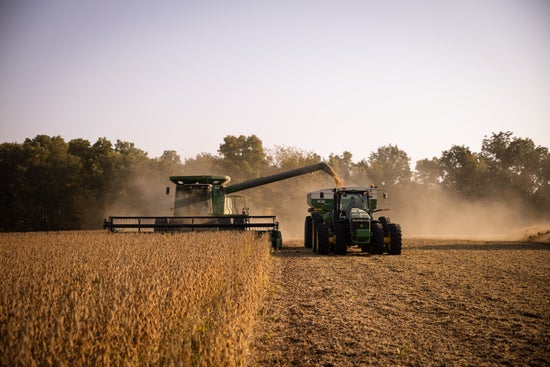 Harvesting soybeans 