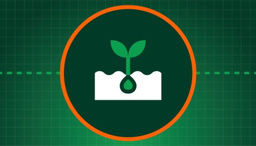 What Causes Uneven Emergence?