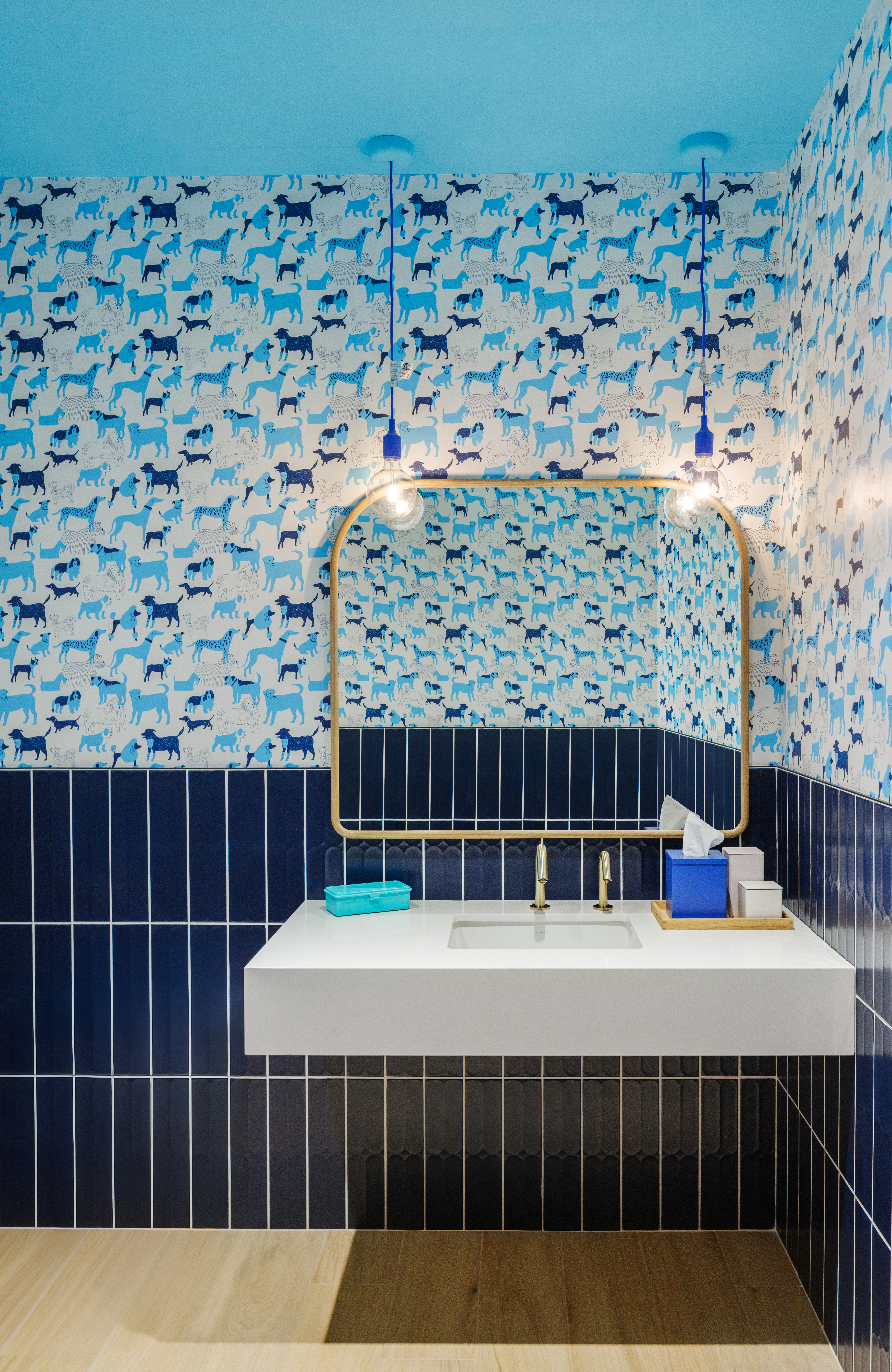 trinity surface project