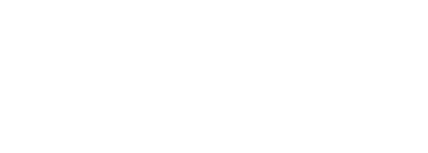 Lung Bioengineering Inc.
