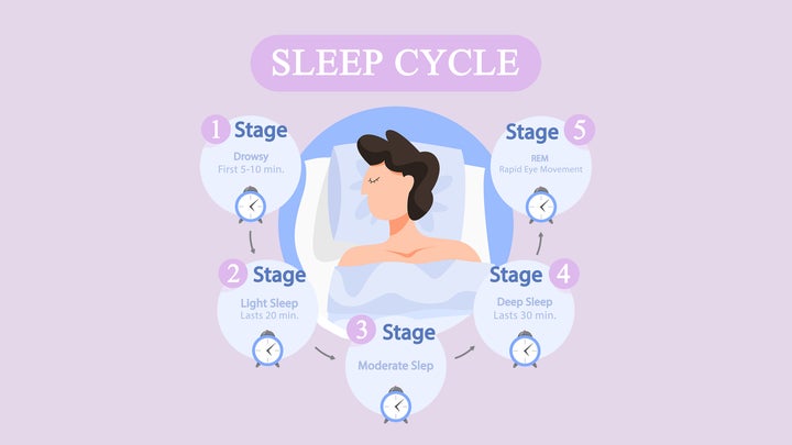 different stages of sleep