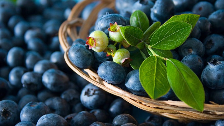 fresh blueberries