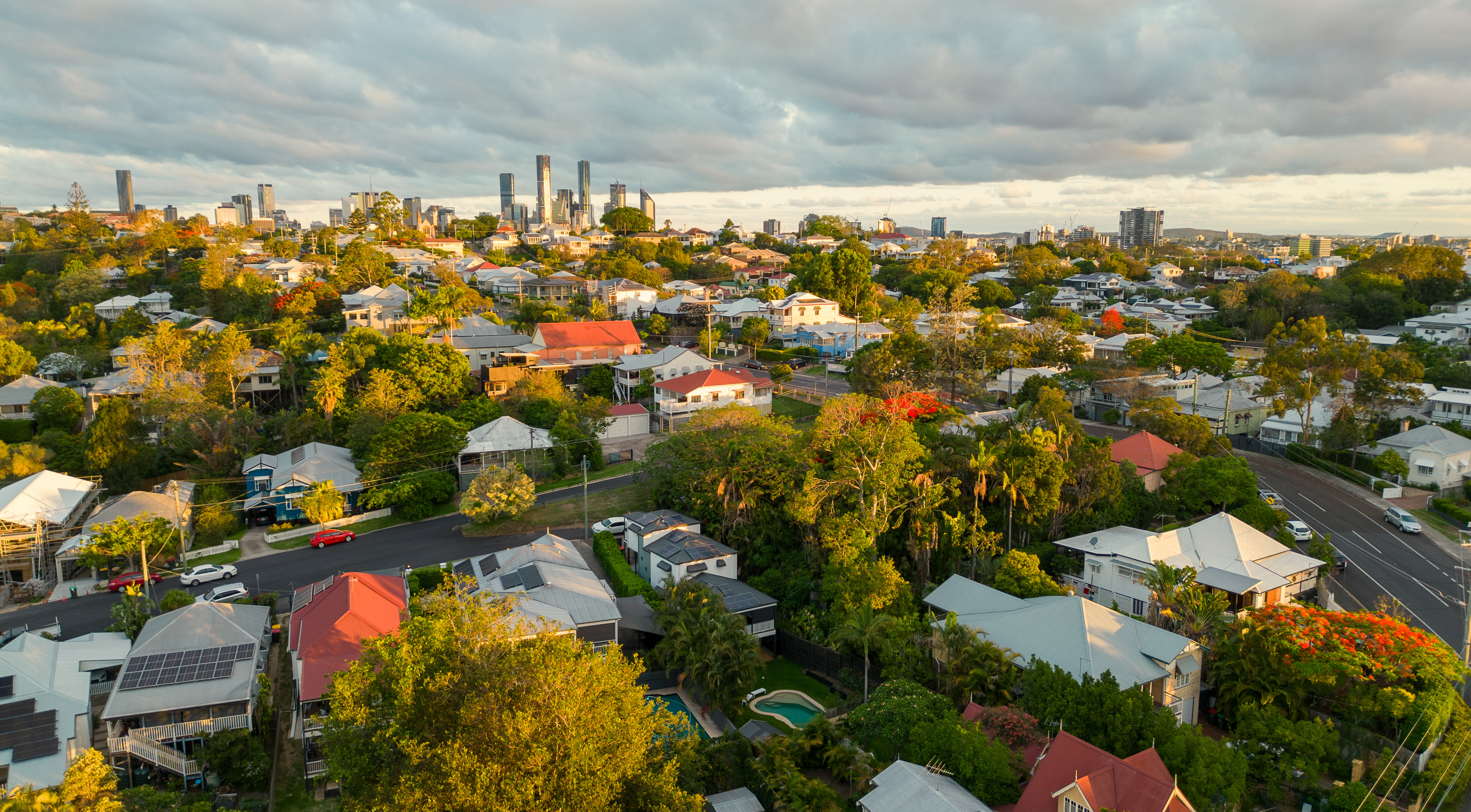 aerial view of leafy houses in Brisbane