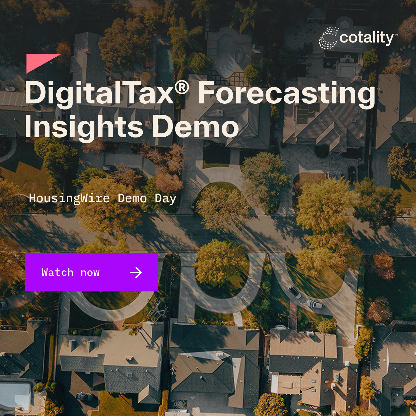 This is the default text value