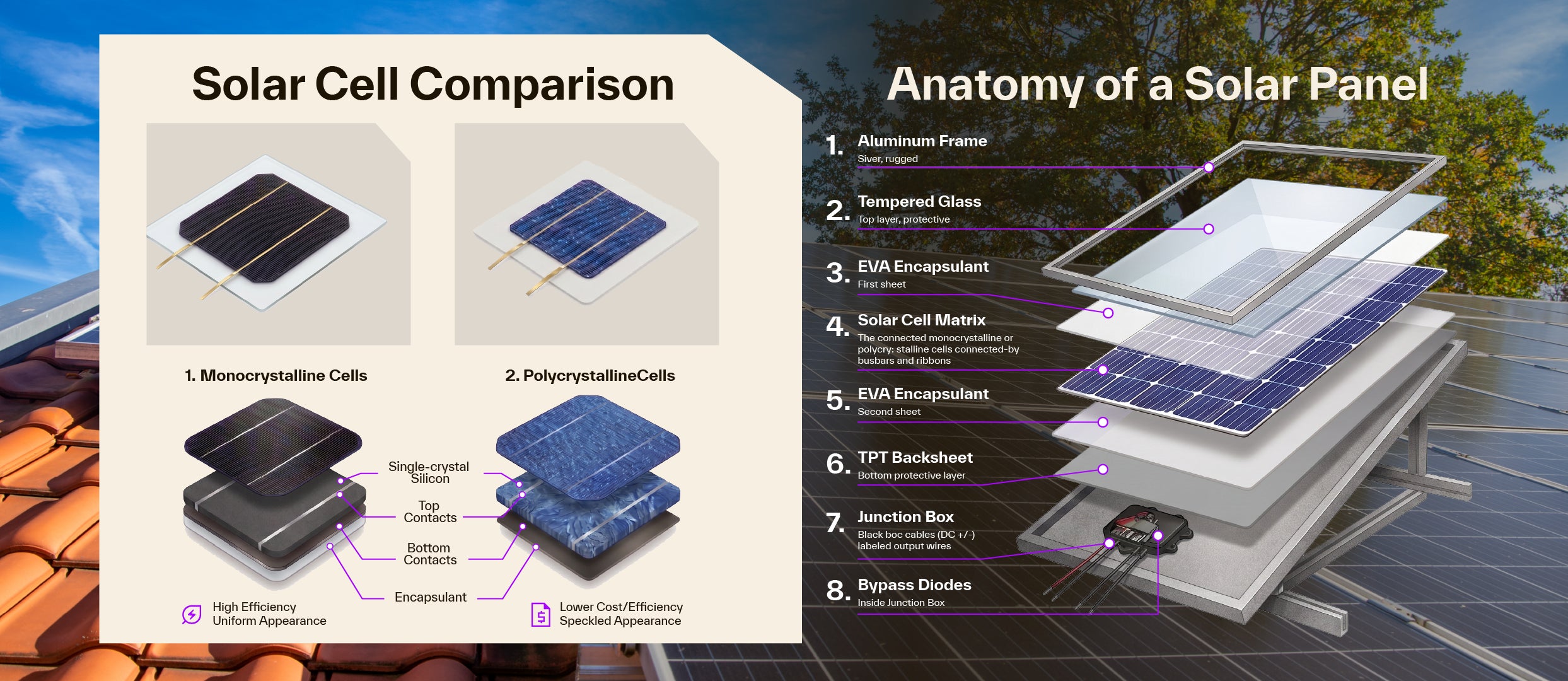 Solar Cell Comparison and Anatomy of a Solar Panel 