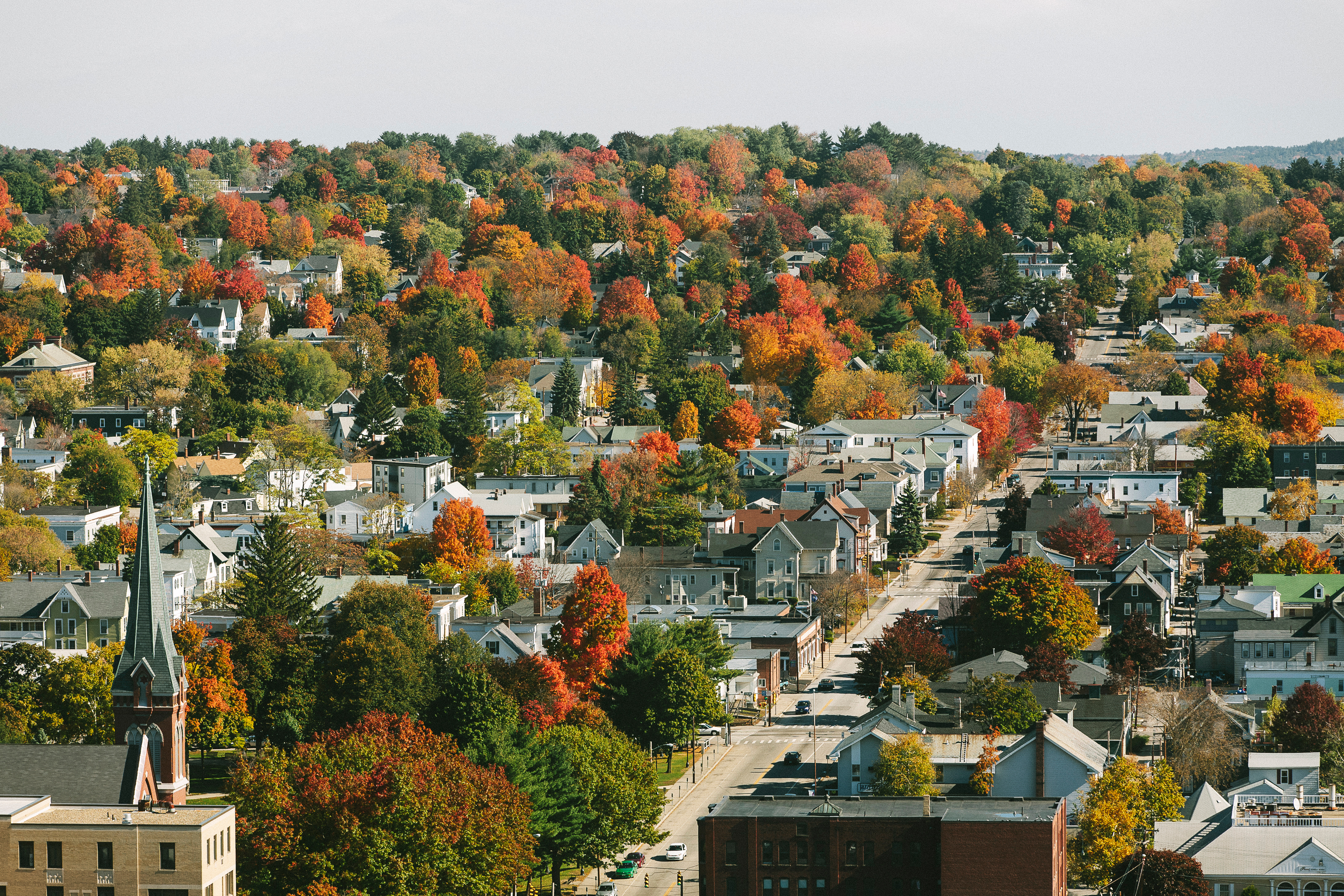 A panoramic view of a residential locality within a lush green zone.