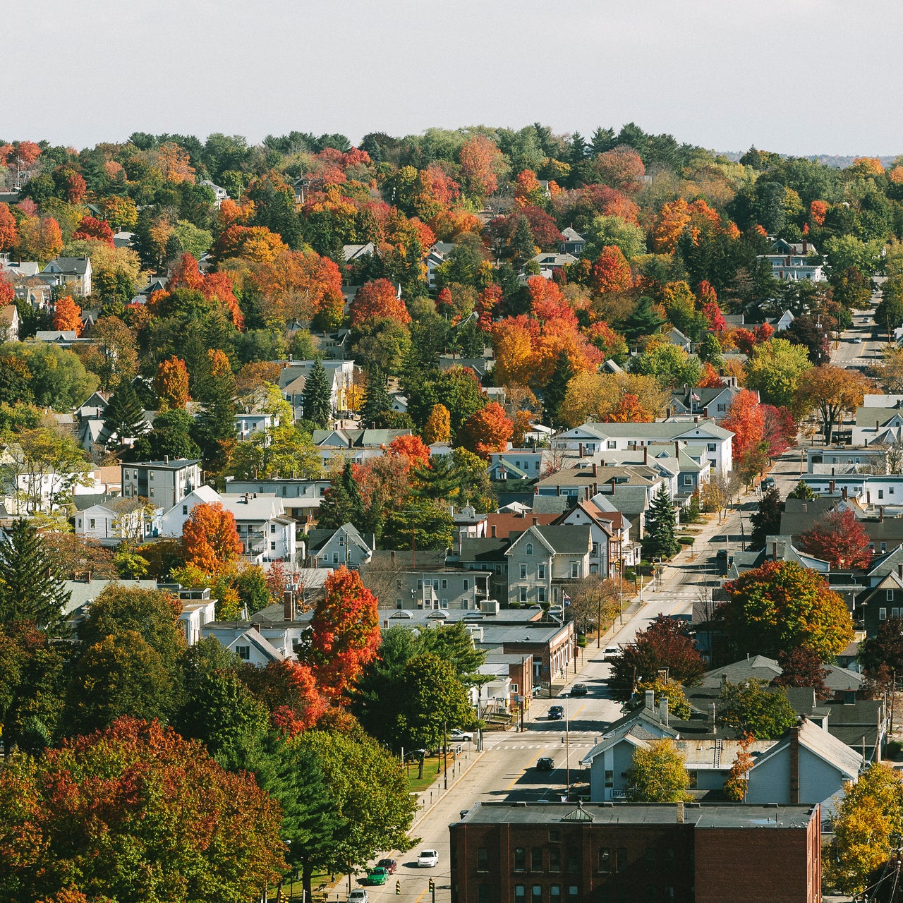 A panoramic view of a residential locality within a lush green zone.
