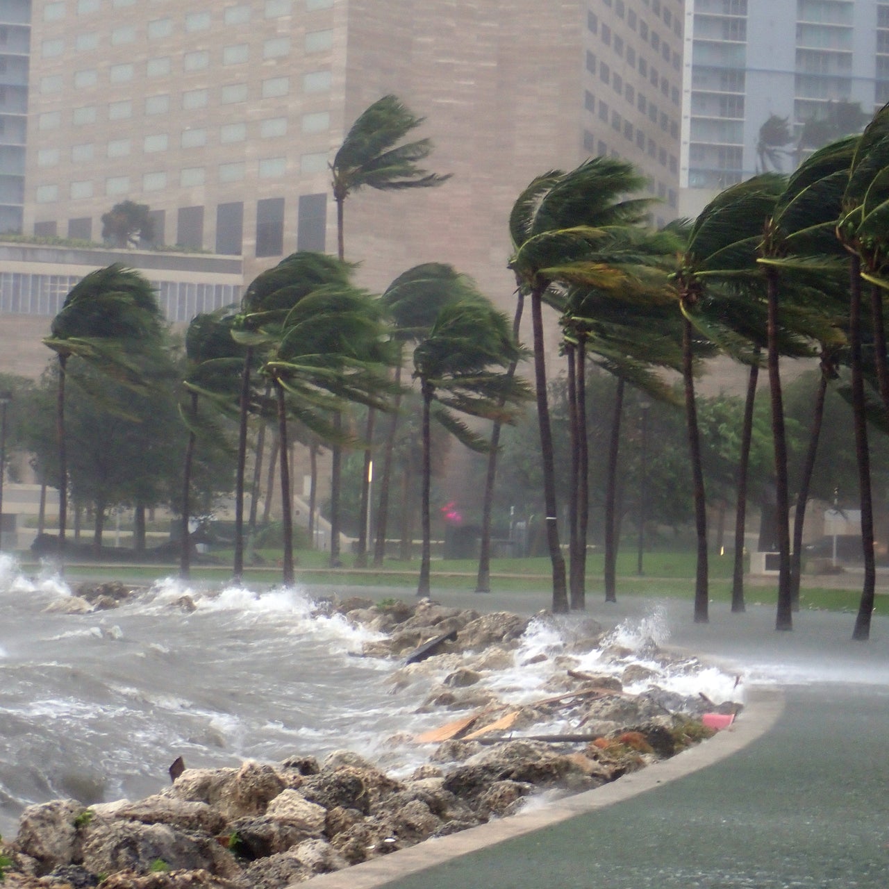 Intense storm with vicious winds and heavy rainfall impacting a city along the side of the sea.