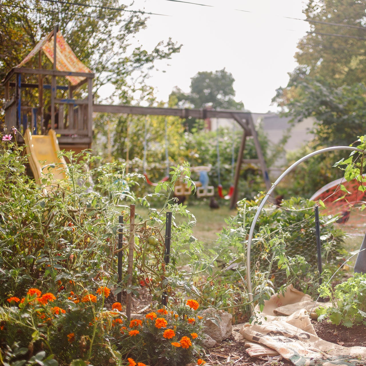 A woman sitting in her vegetable garden, holding seeds and planting