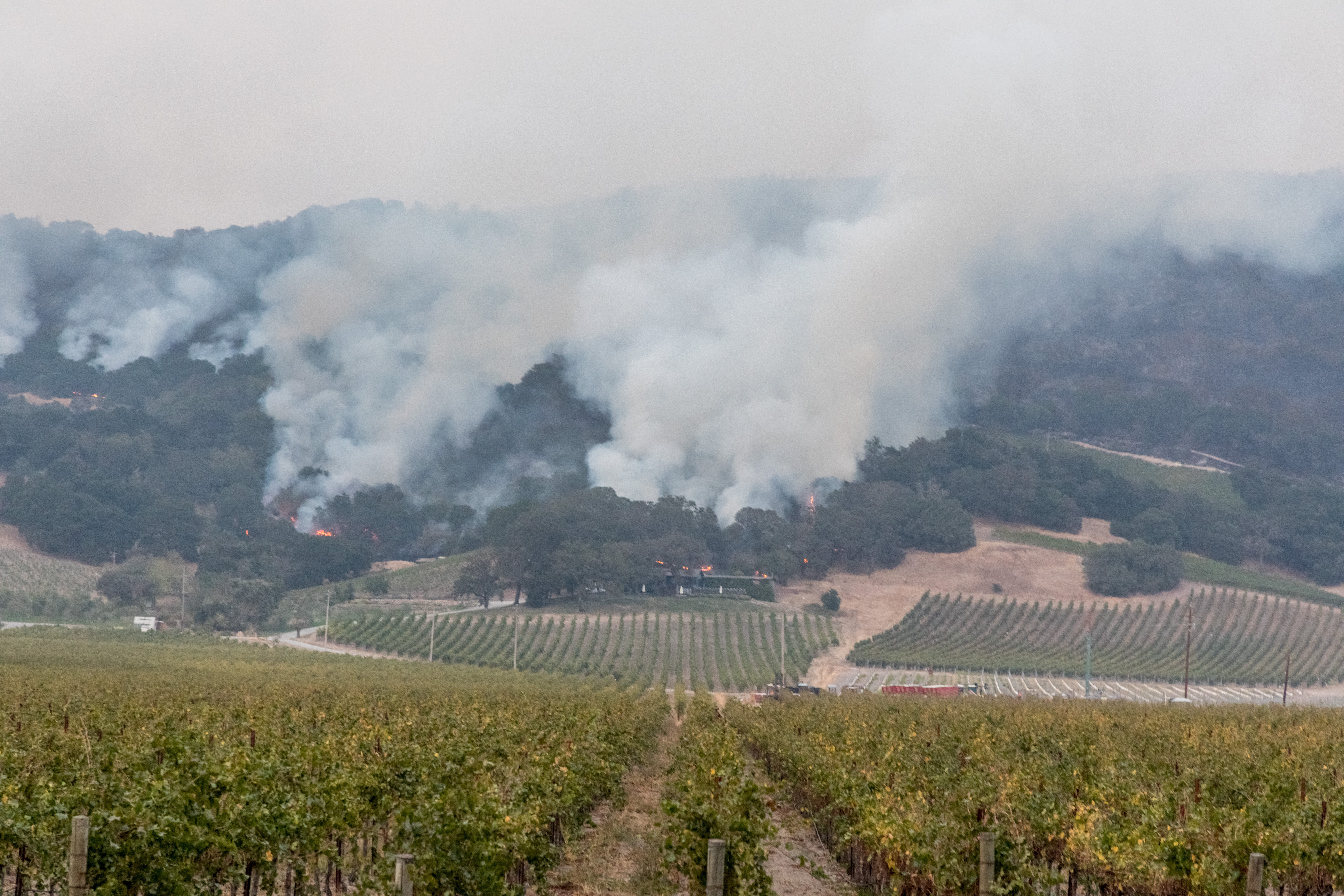 Northern California Wildfire