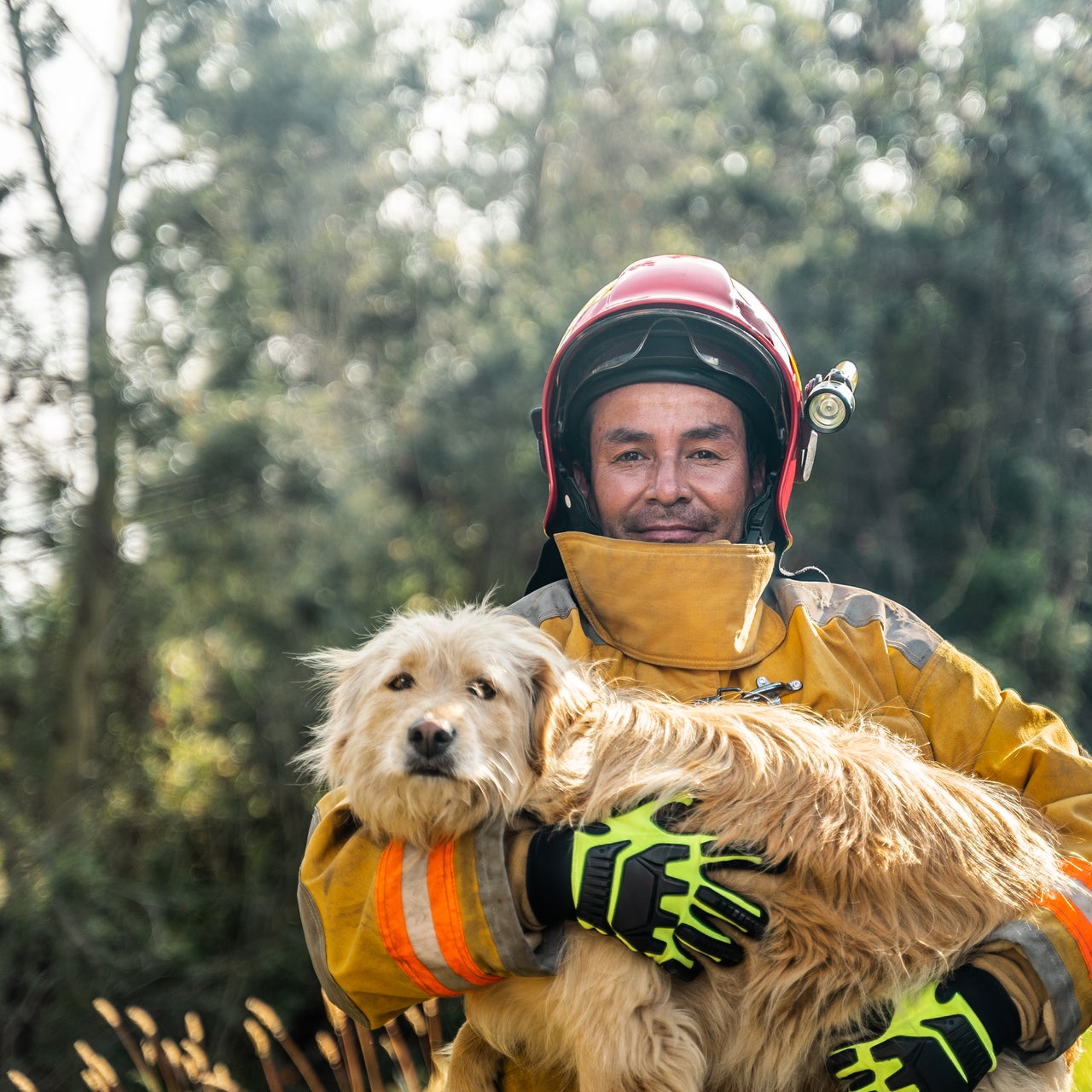A firefighter with a dog, possible a rescued one.