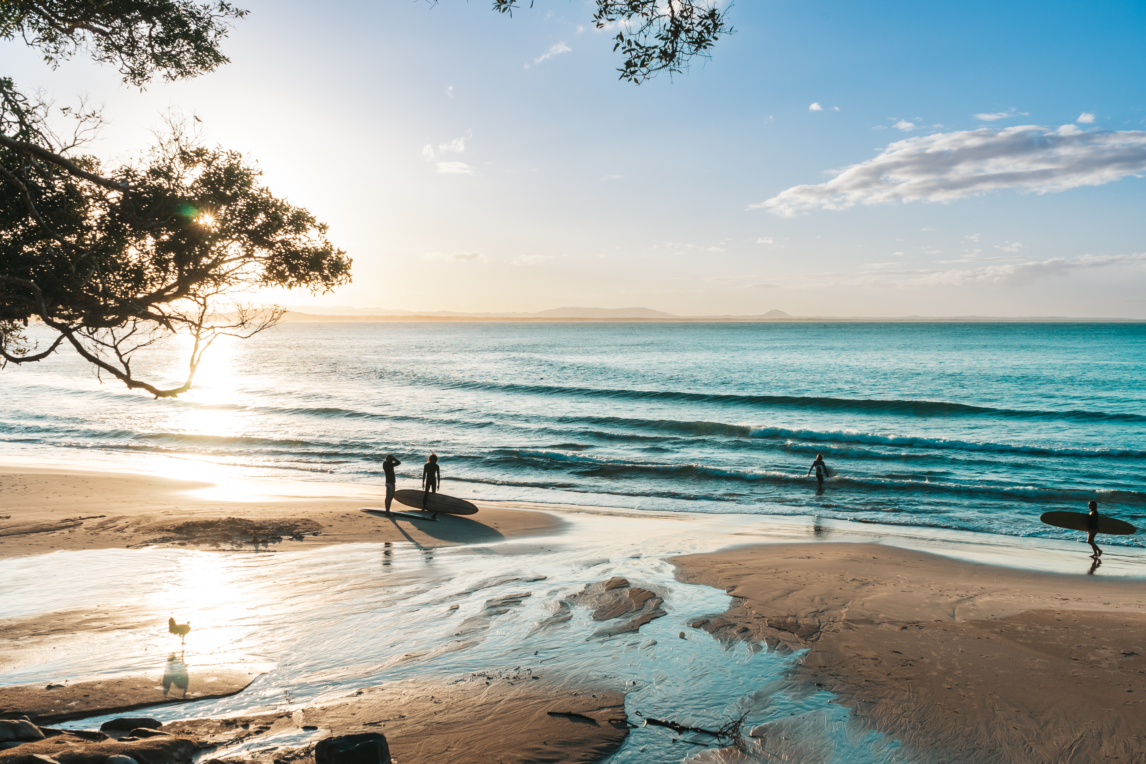 Surfers on a beachside