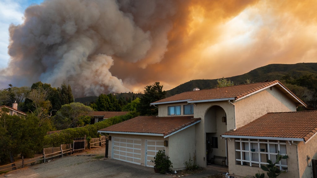 Stock image of wildfire