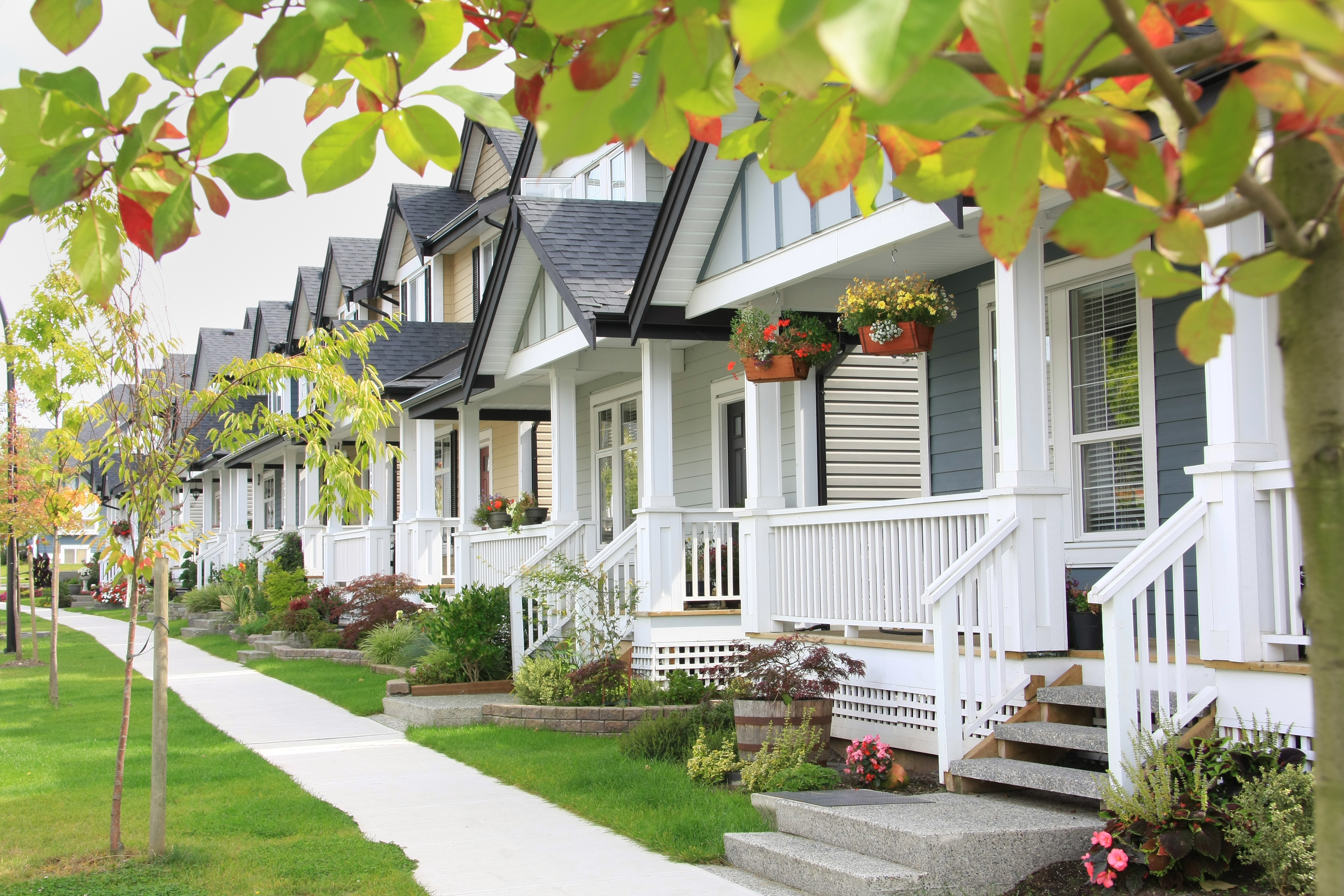 A row of townhouses with varying exterior colors and well-maintained landscaping lines a sidewalk on a sunny day.