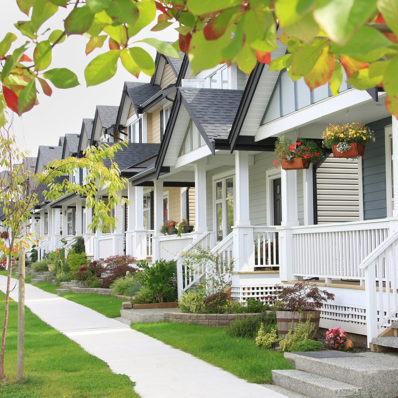 A row of townhouses with varying exterior colors and well-maintained landscaping lines a sidewalk on a sunny day.