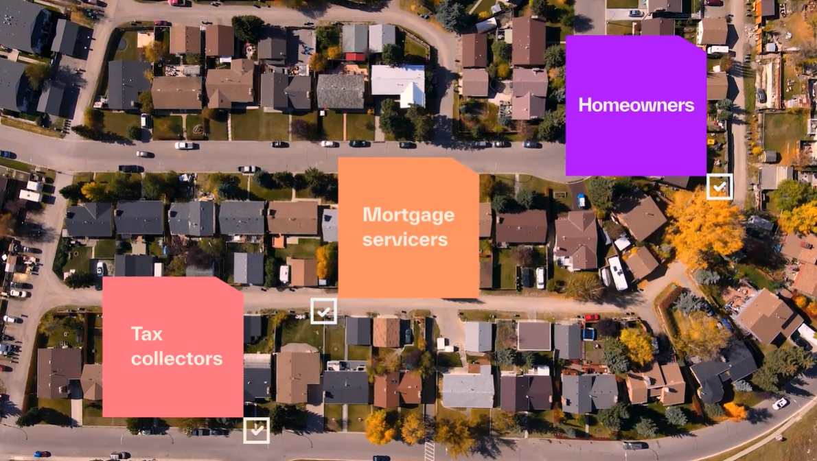 This is the default text value