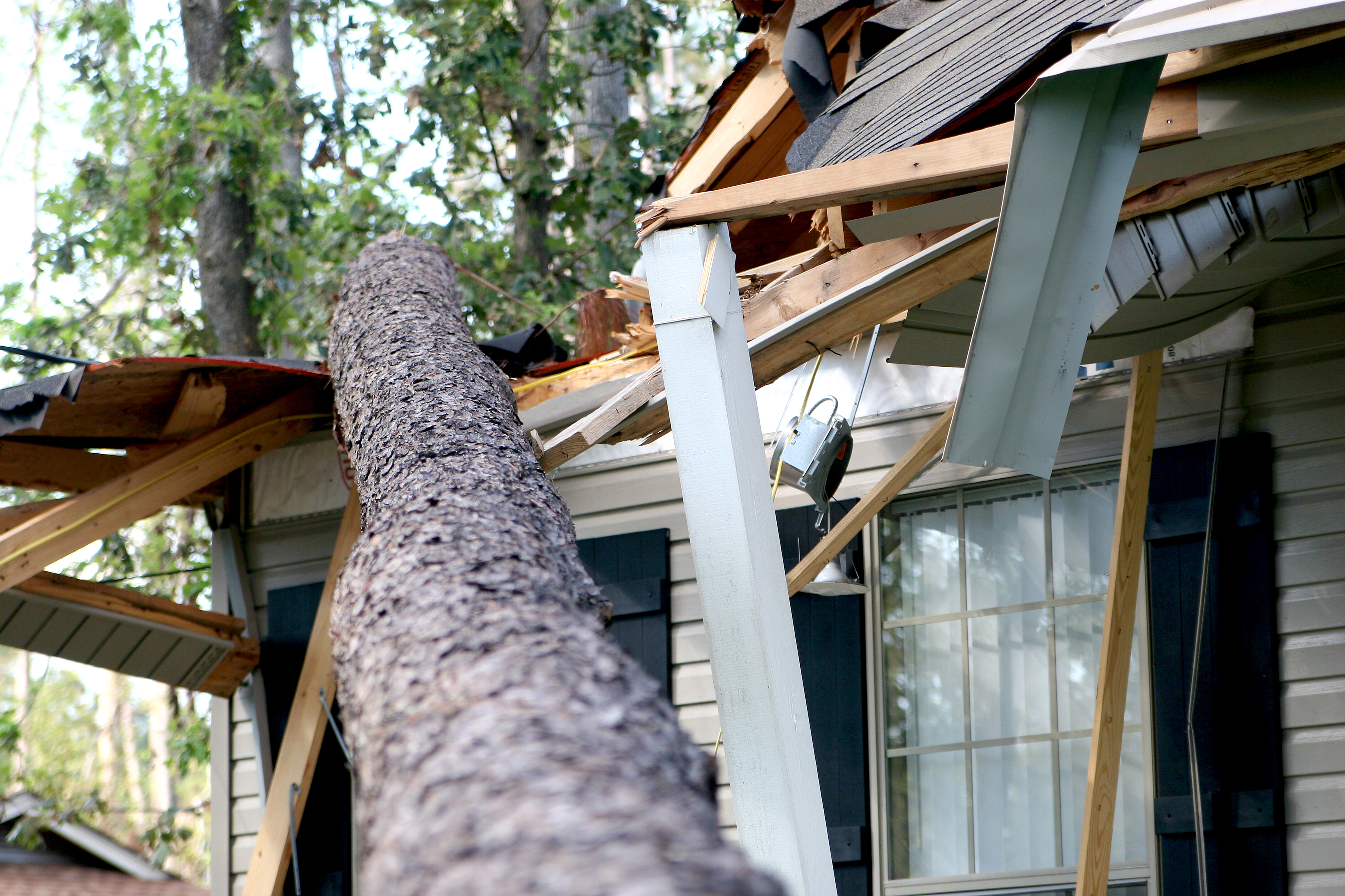 House damaged by a fallen tree after a storm.