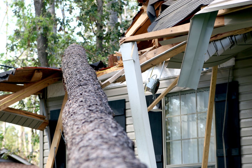 House damaged by a fallen tree after a storm.