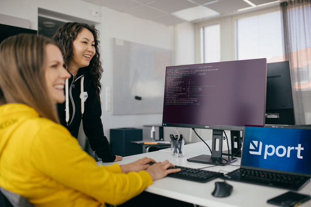 Developers working together with Port internal developer portal