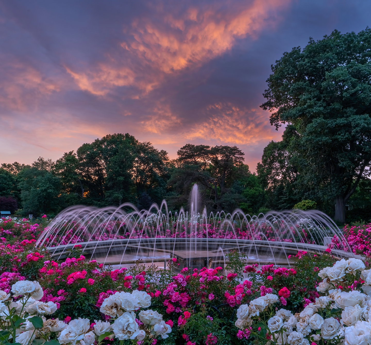 A fountain at the Park of Roses in Clintonville, Ohio