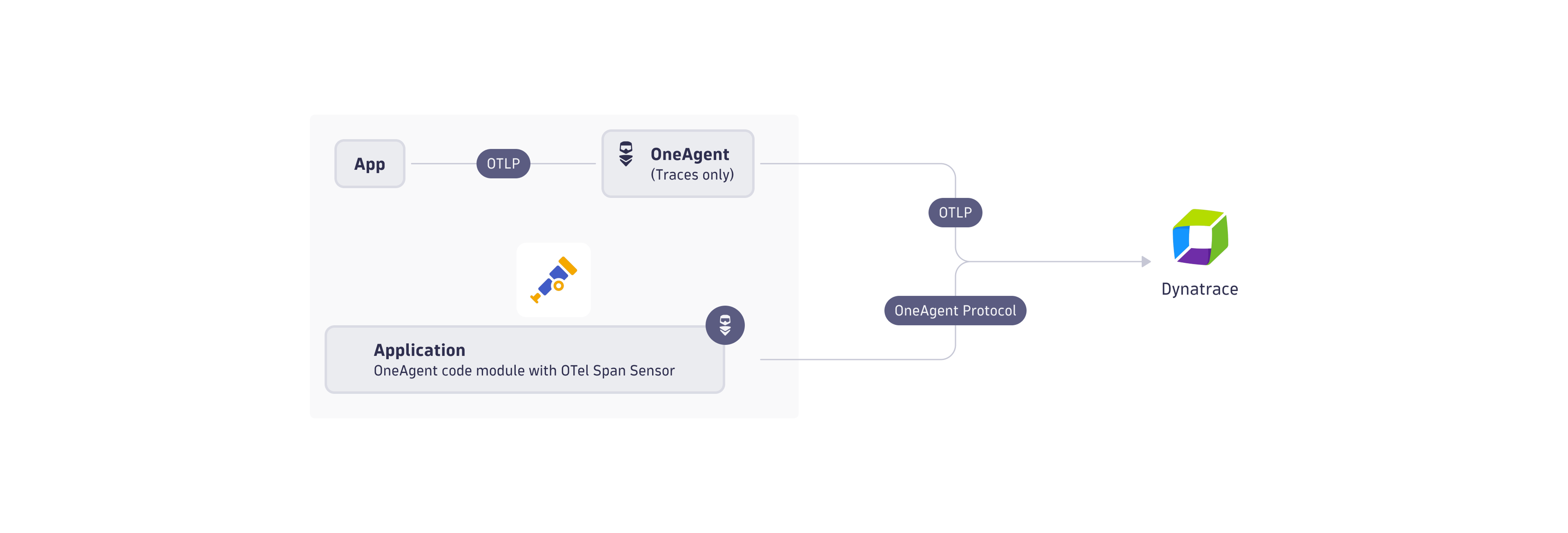 OneAgent send data to Dynatrace