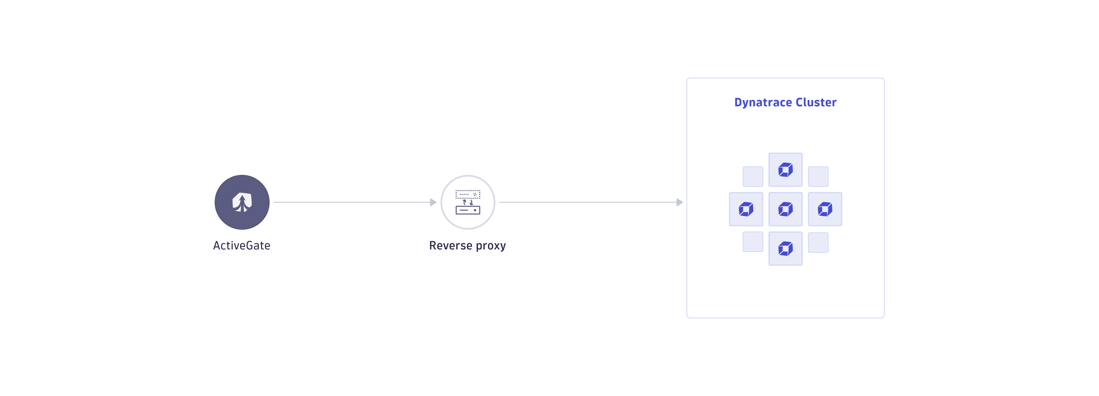 ActiveGate connecting to Dynatrace Cluster via reverse proxy/load balancer