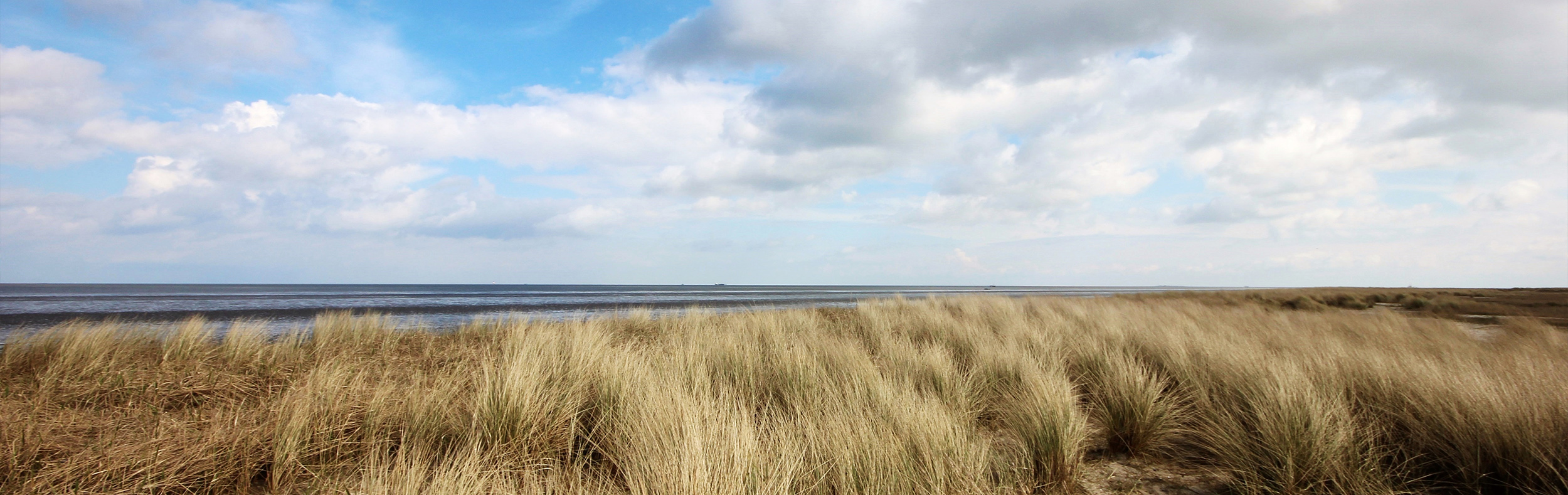 Genießen Sie die Umgebung