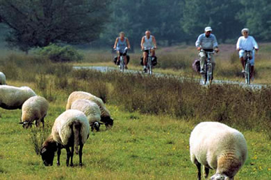 Combine with adventure