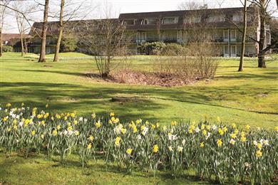 Hotel Spier-Dwingeloo