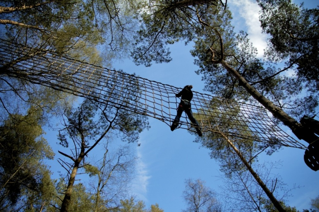Harderwijk climbing park