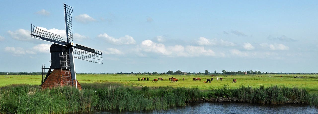 Beleef culturele activiteiten in Friesland