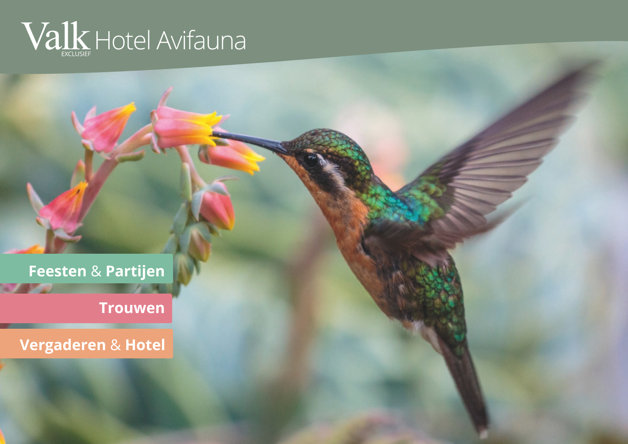 Informatie & prijzen