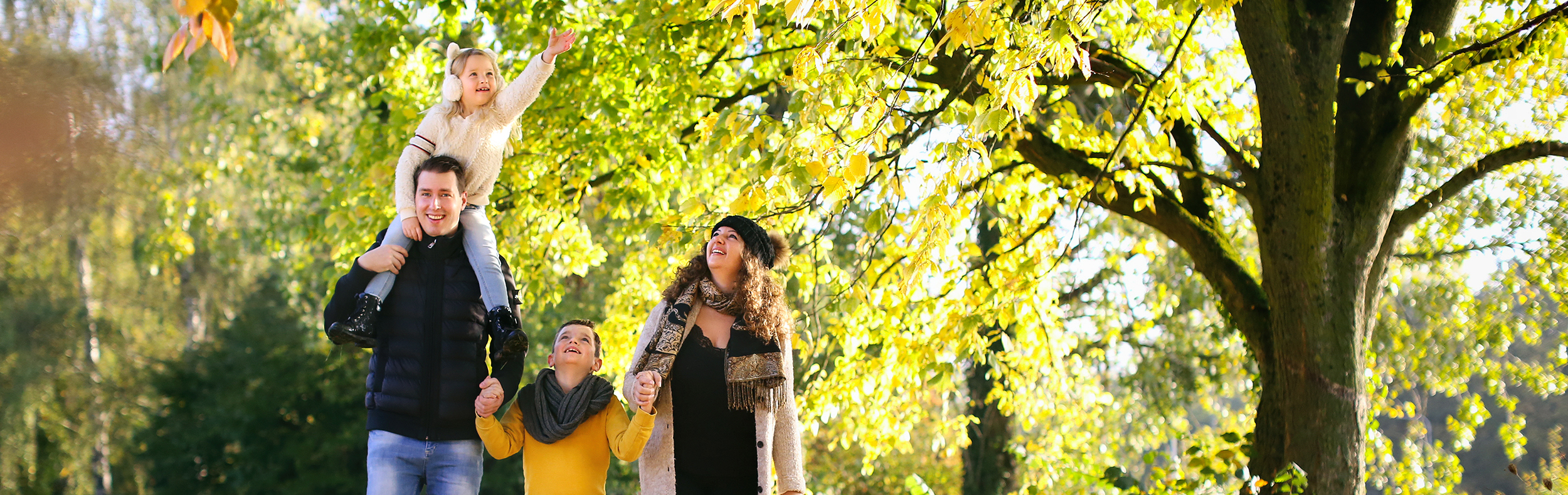 Kom tot rust in de Utrechtse Heuvelrug
