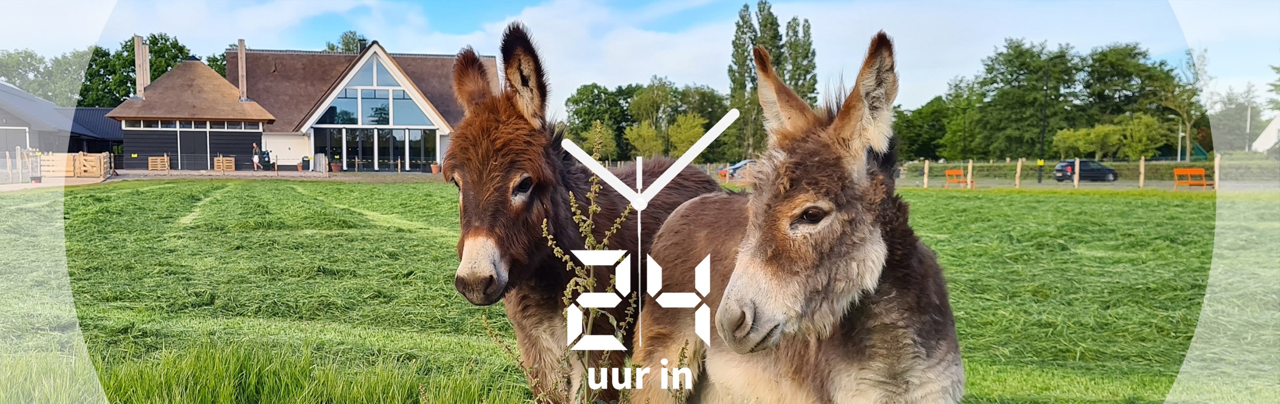 Hotel de Gouden Leeuw